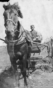 Francis on horse dcrawn cart